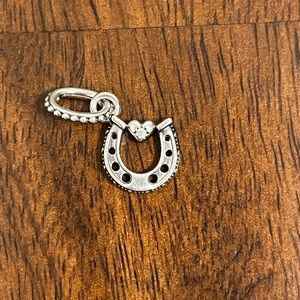 Good Luck Horseshoe Dangle Charm